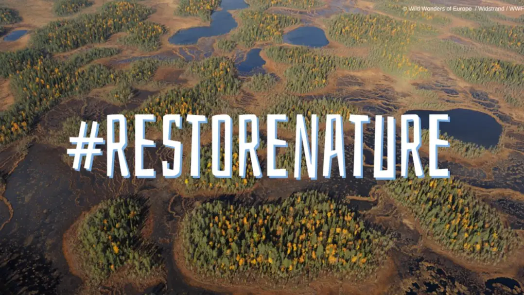 🌿 Greenovation: Restoring Nature Through Innovation